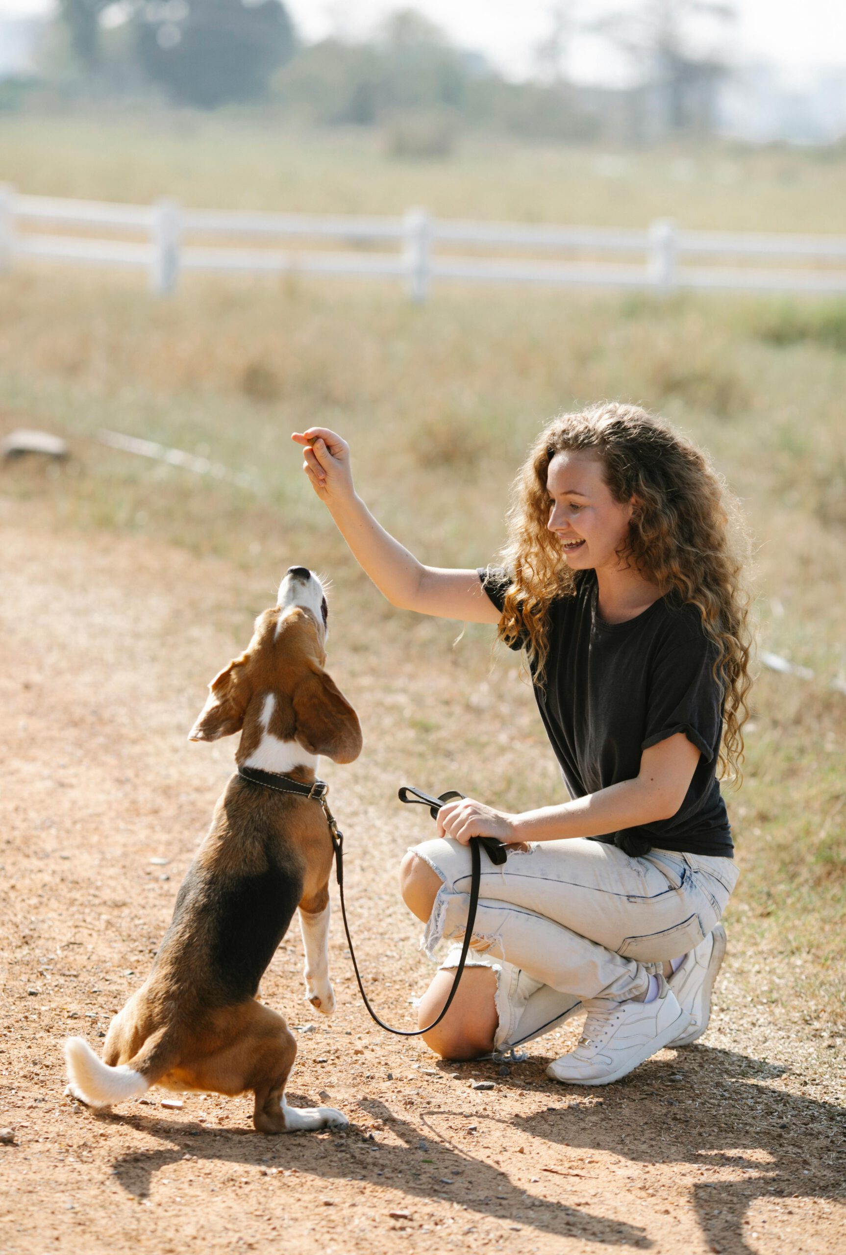 Optimistic young female training dog in nature